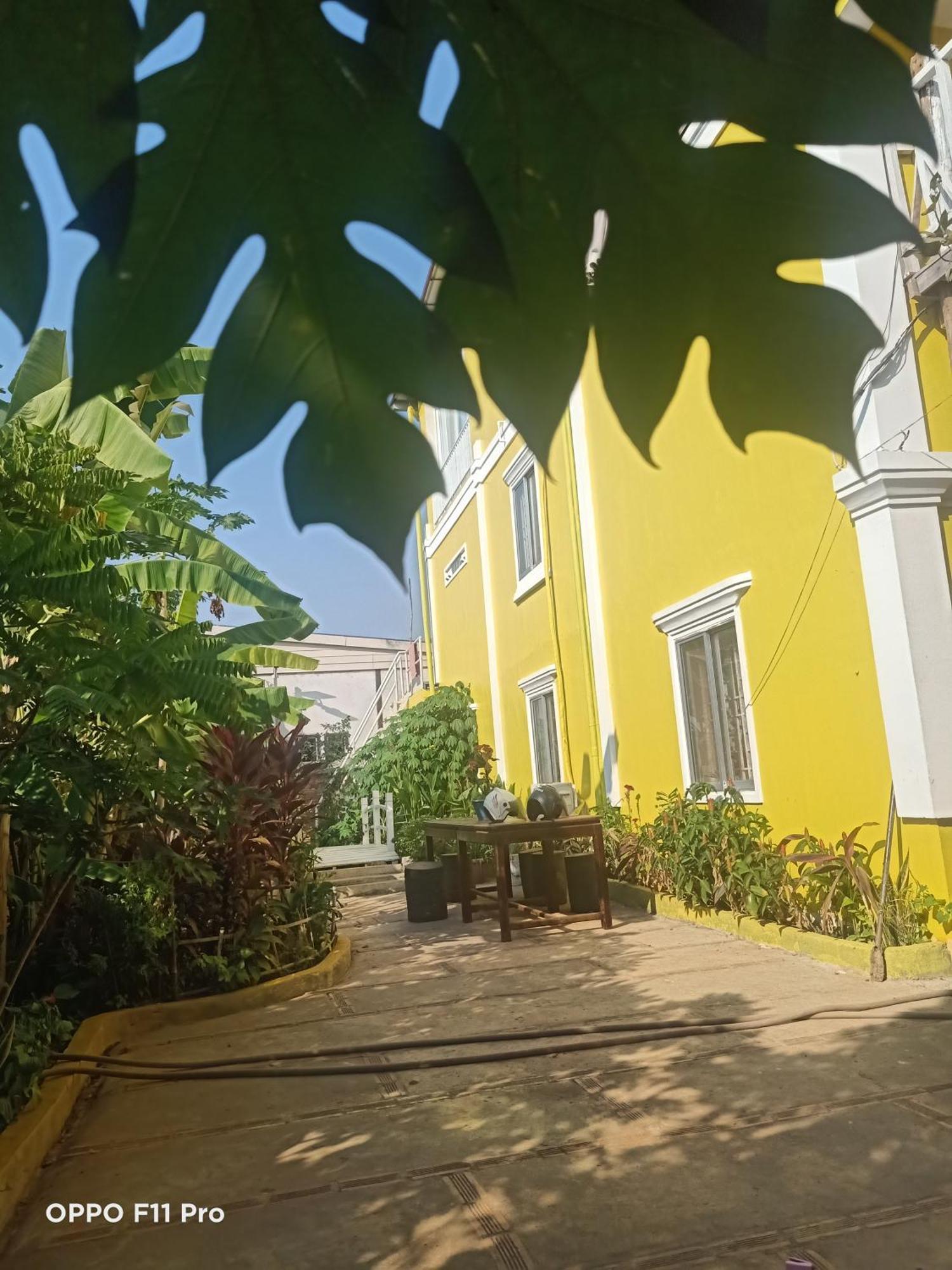 Homestay Yellow Natural House Siem Reap Eksteriør billede